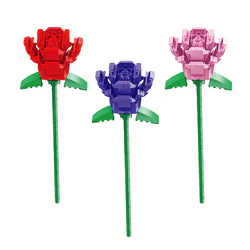 Roses