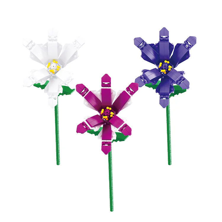 Orchid 贝乐迪BALODY 20084