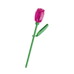 Tulip