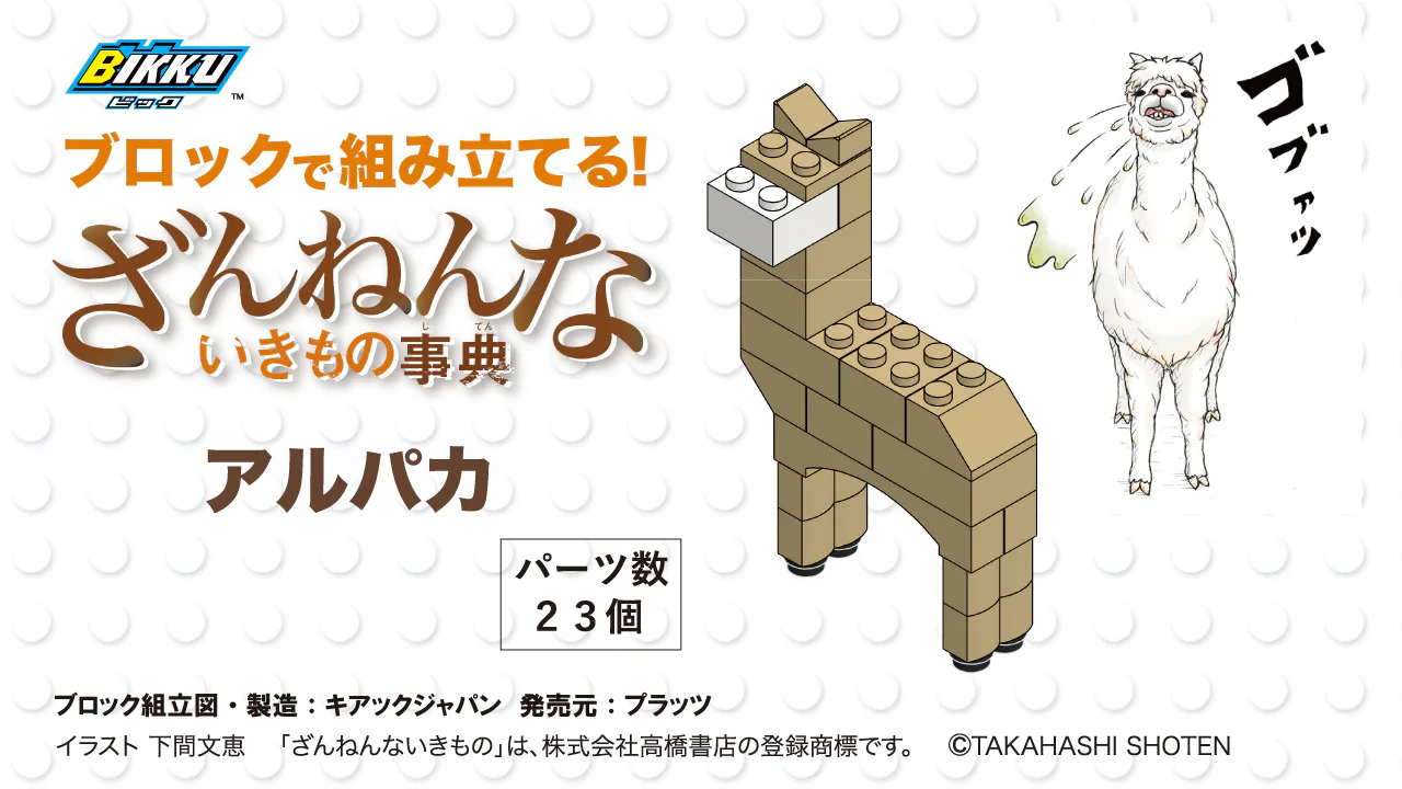 The Biology: The Camel BIKKU 【未知】
