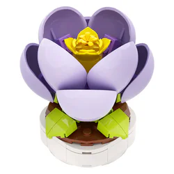 Flowers: Moonlight City