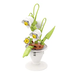 A bouquet of flowers: a poignant poignant
