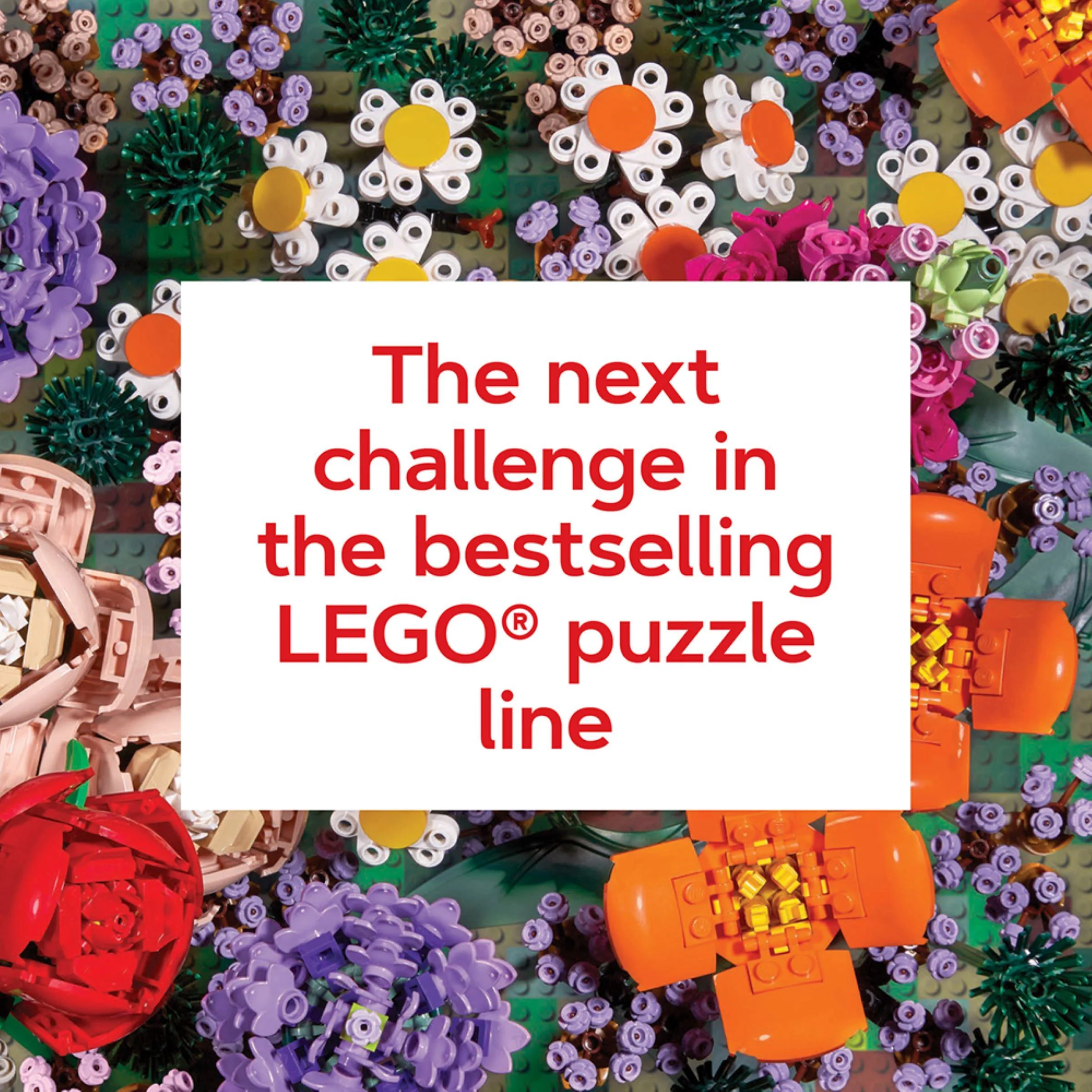 Spelling: 1,000 pieces of wood 乐高 LEGO 5007851 image 2