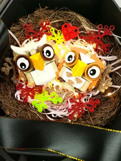 Owl
