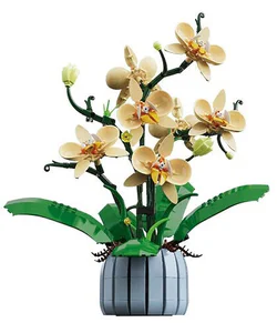 Orchid
