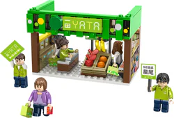 Small city story: Ida