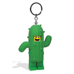 The cactus shines the key button