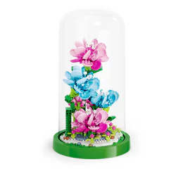 A flower plant: a carnation plant