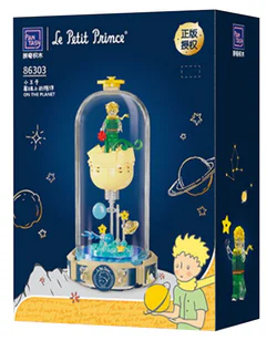 Little prince, company on the planet