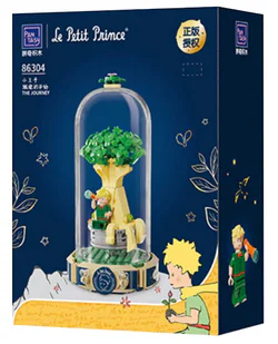 Little prince, the journey begins