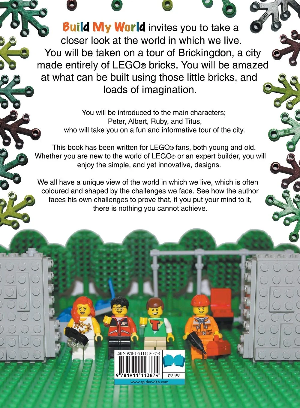 The Streets of Brickingdon Spiderwize ISBN9781911113874 image 1