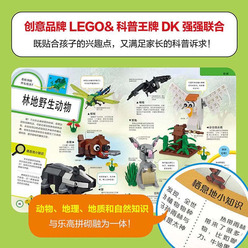 Lego tour world 国开童媒 ISBN9787304105167 image 15