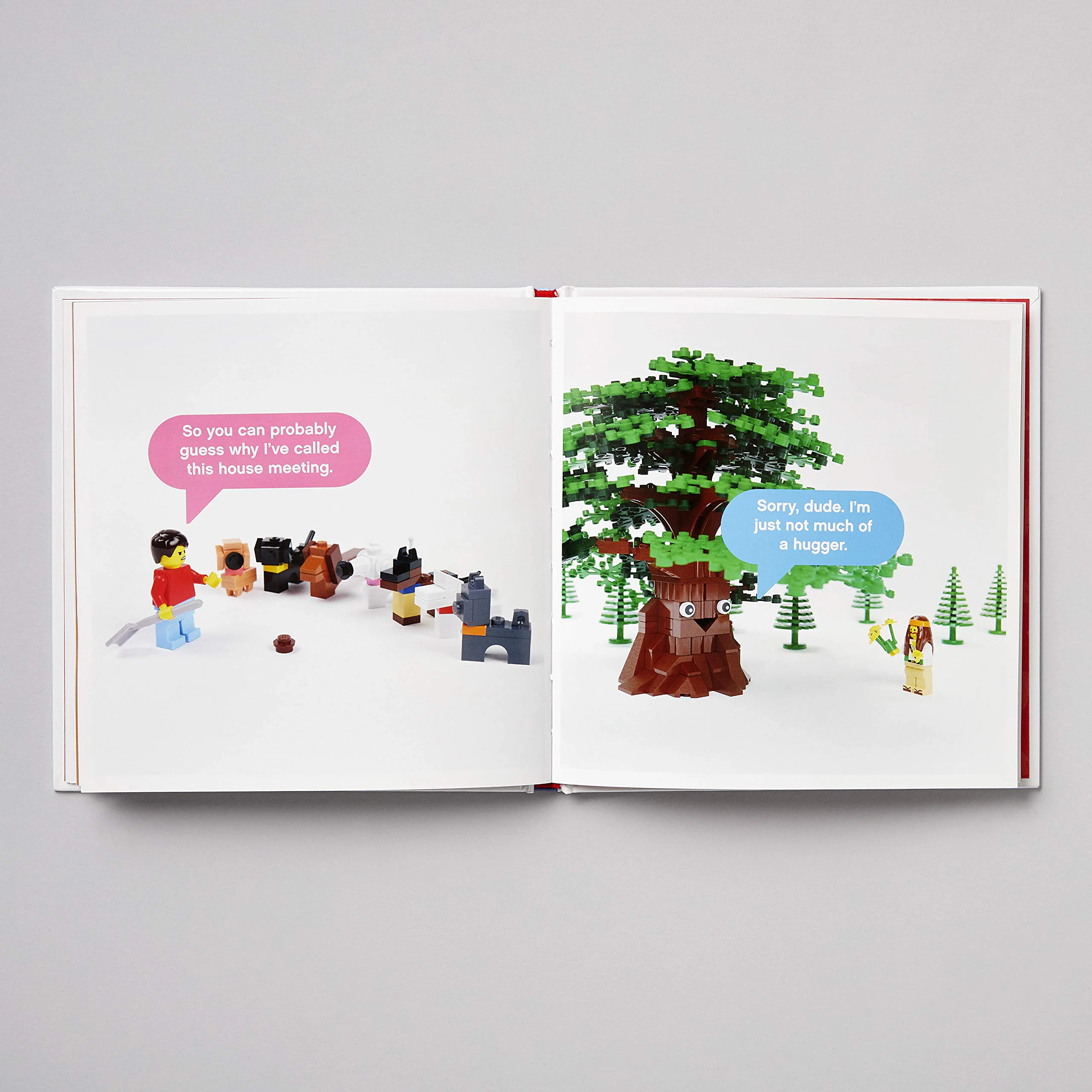 LEGO Small Parts: Chronicle ISBN9781452182254 image 7
