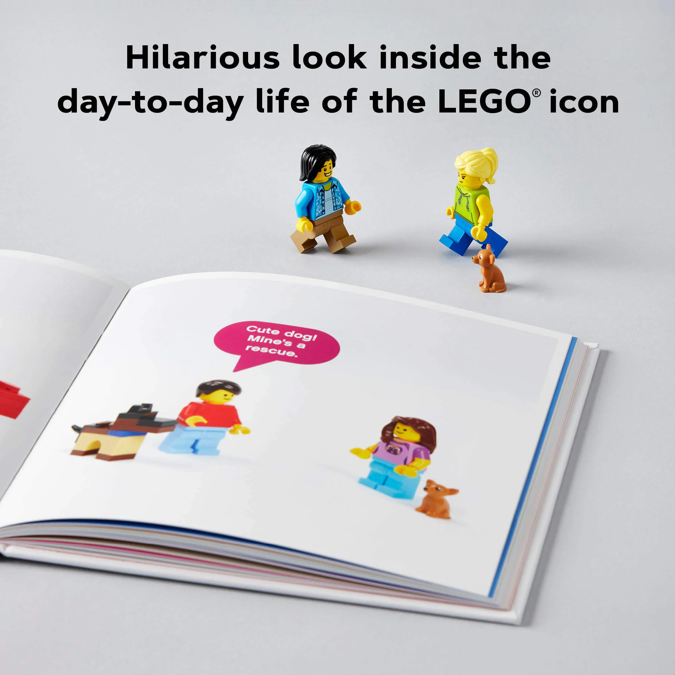 LEGO Small Parts: Chronicle ISBN9781452182254 image 8