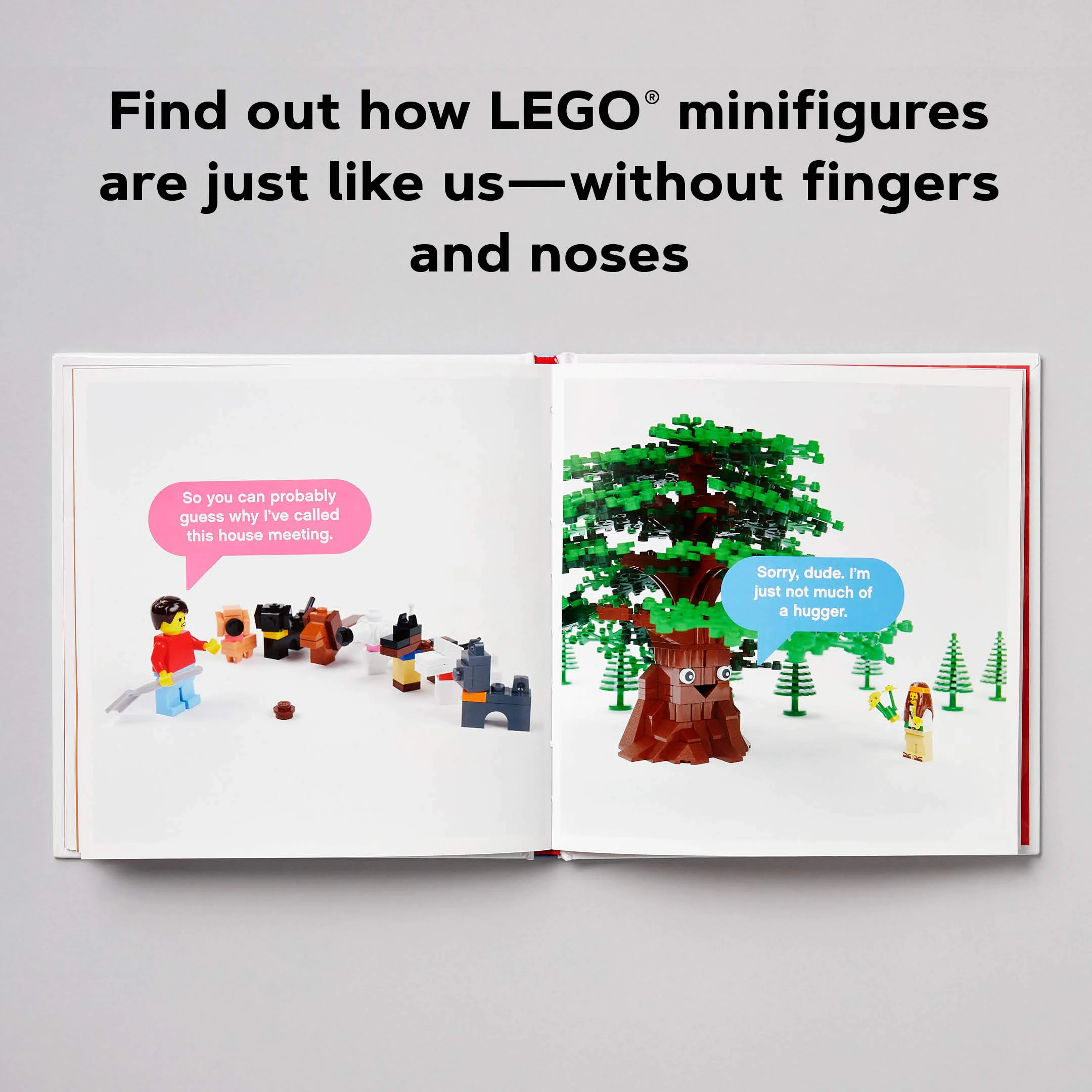 LEGO Small Parts: Chronicle ISBN9781452182254 image 11