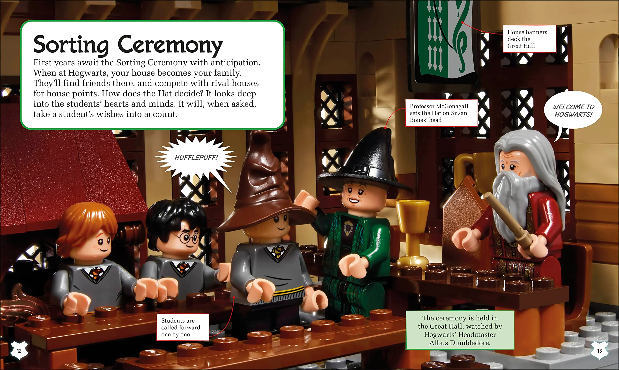 A Spellbinding Guide to Hogwarts Houses DK ISBN9780744056907 image 5