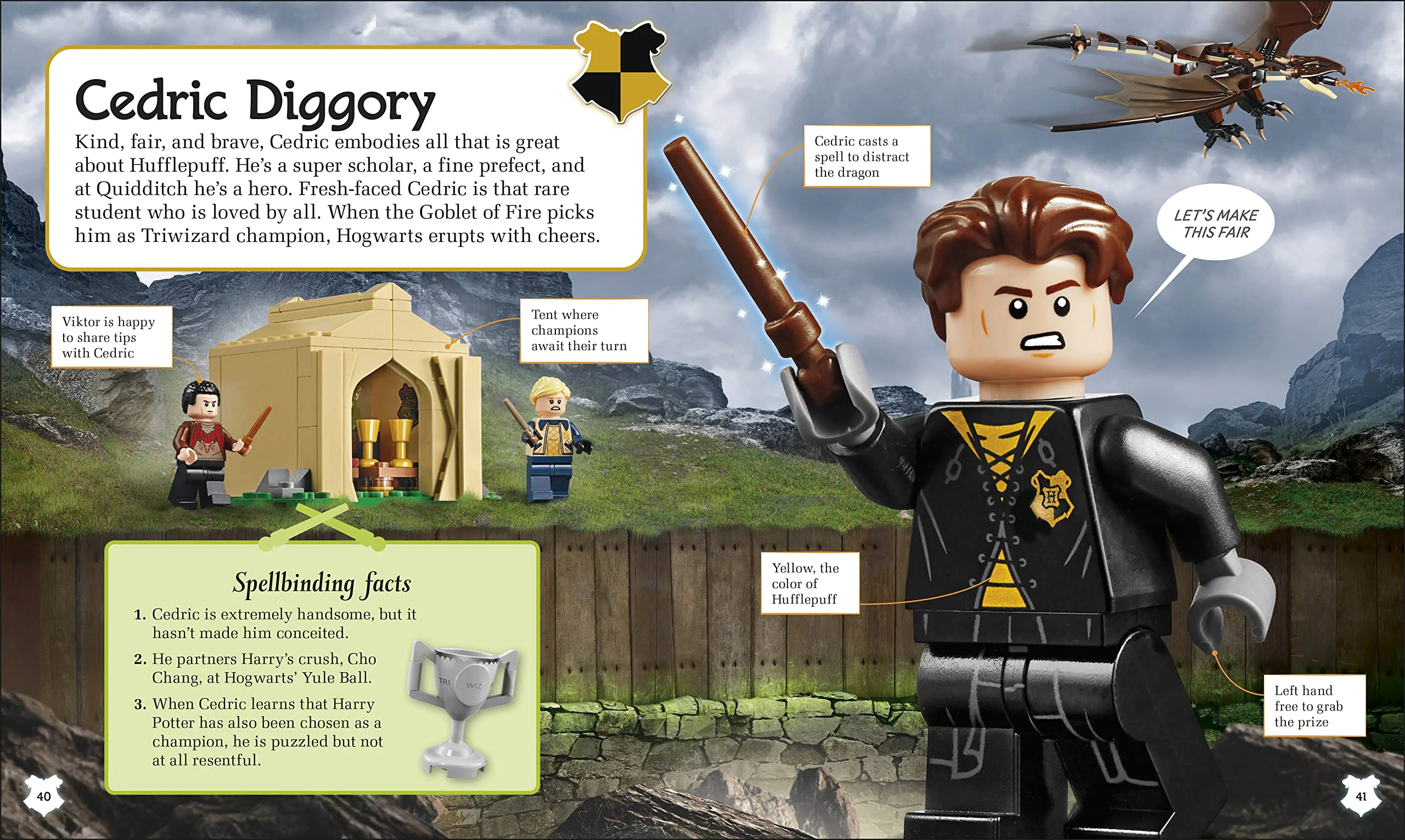 A Spellbinding Guide to Hogwarts Houses DK ISBN9780744056907 image 13