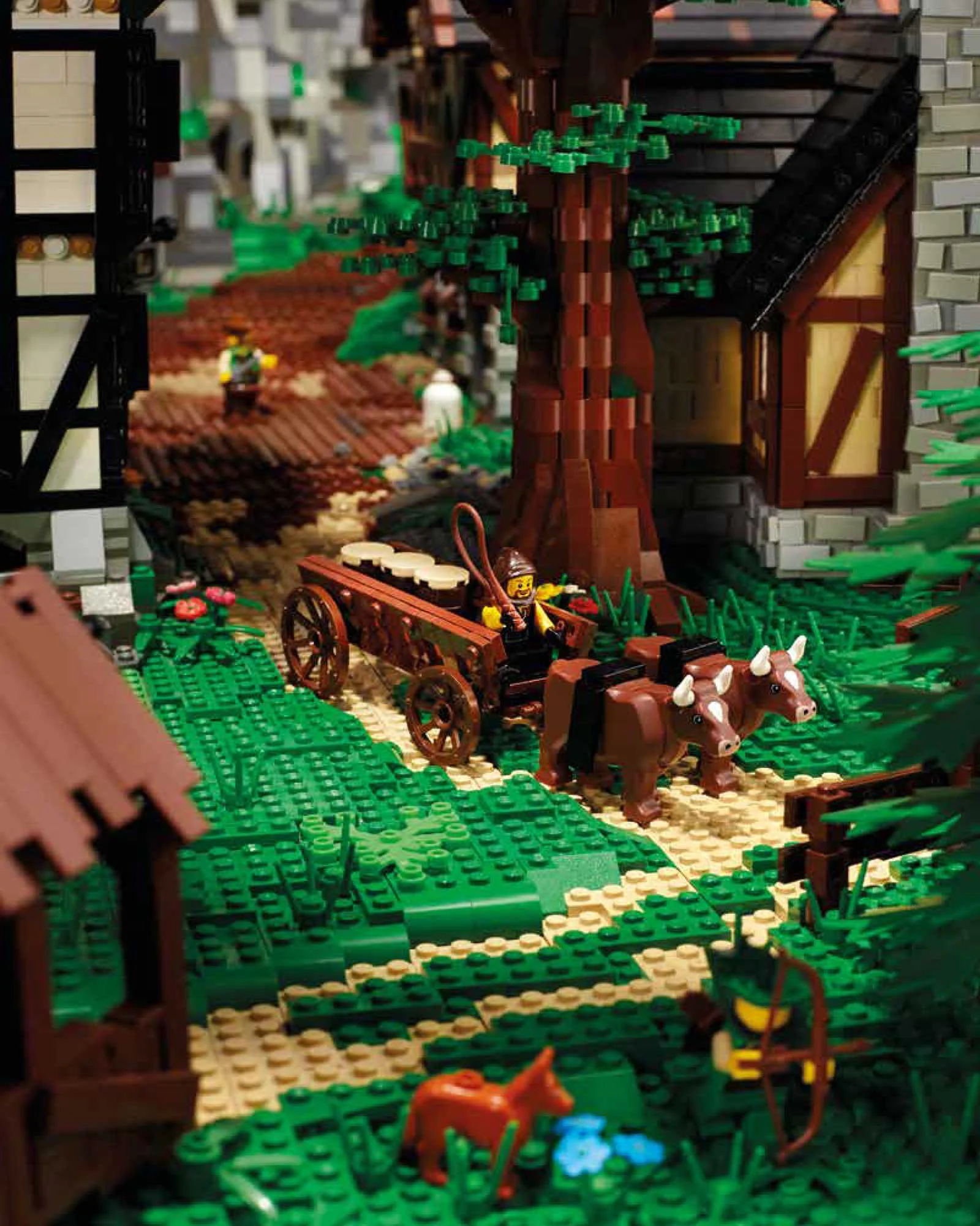 Master Lego: The Middle Ages Heel-Verlag ISBN9783868529258 image 8