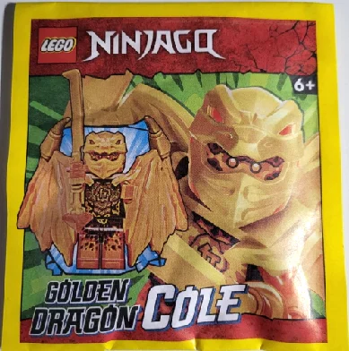 The Golden Dragon, Coop 乐高 LEGO 892304