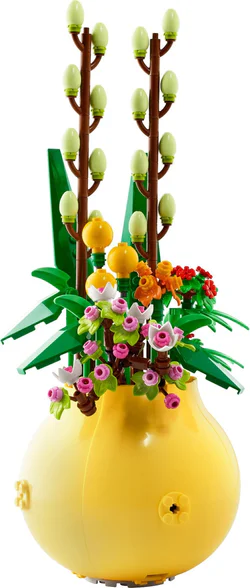 No flowers