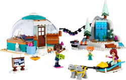 The polar cabin adventure