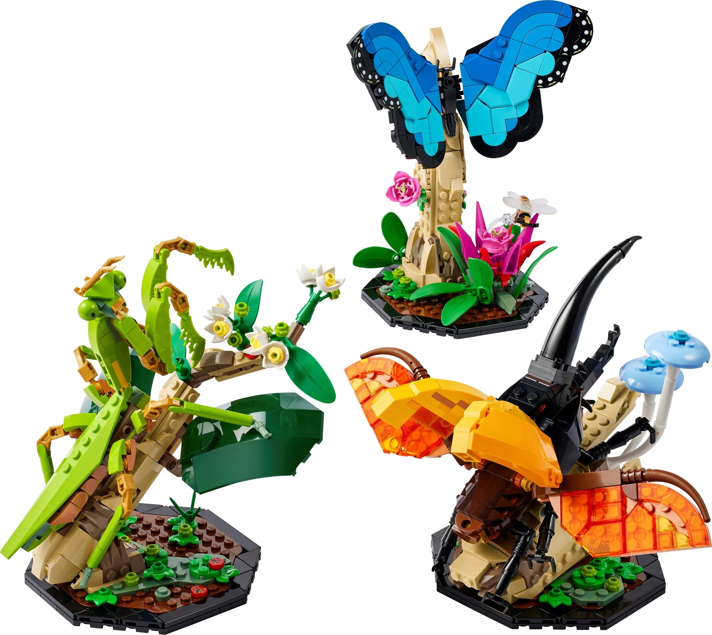 Insects 无牌 90142