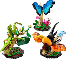 Insects