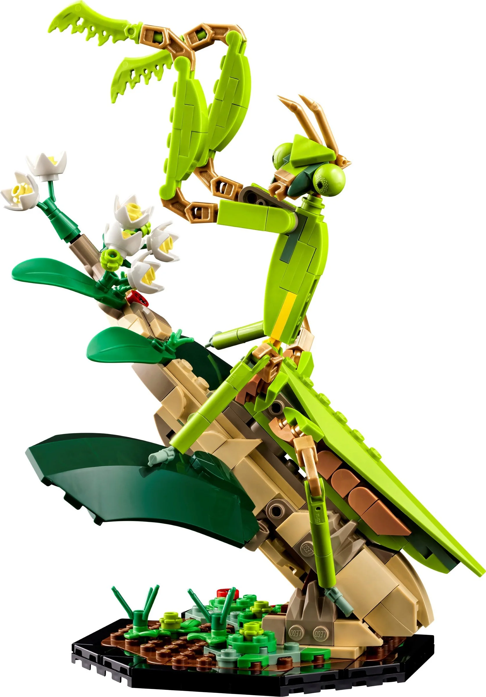 Insects 无牌 90142 image 3