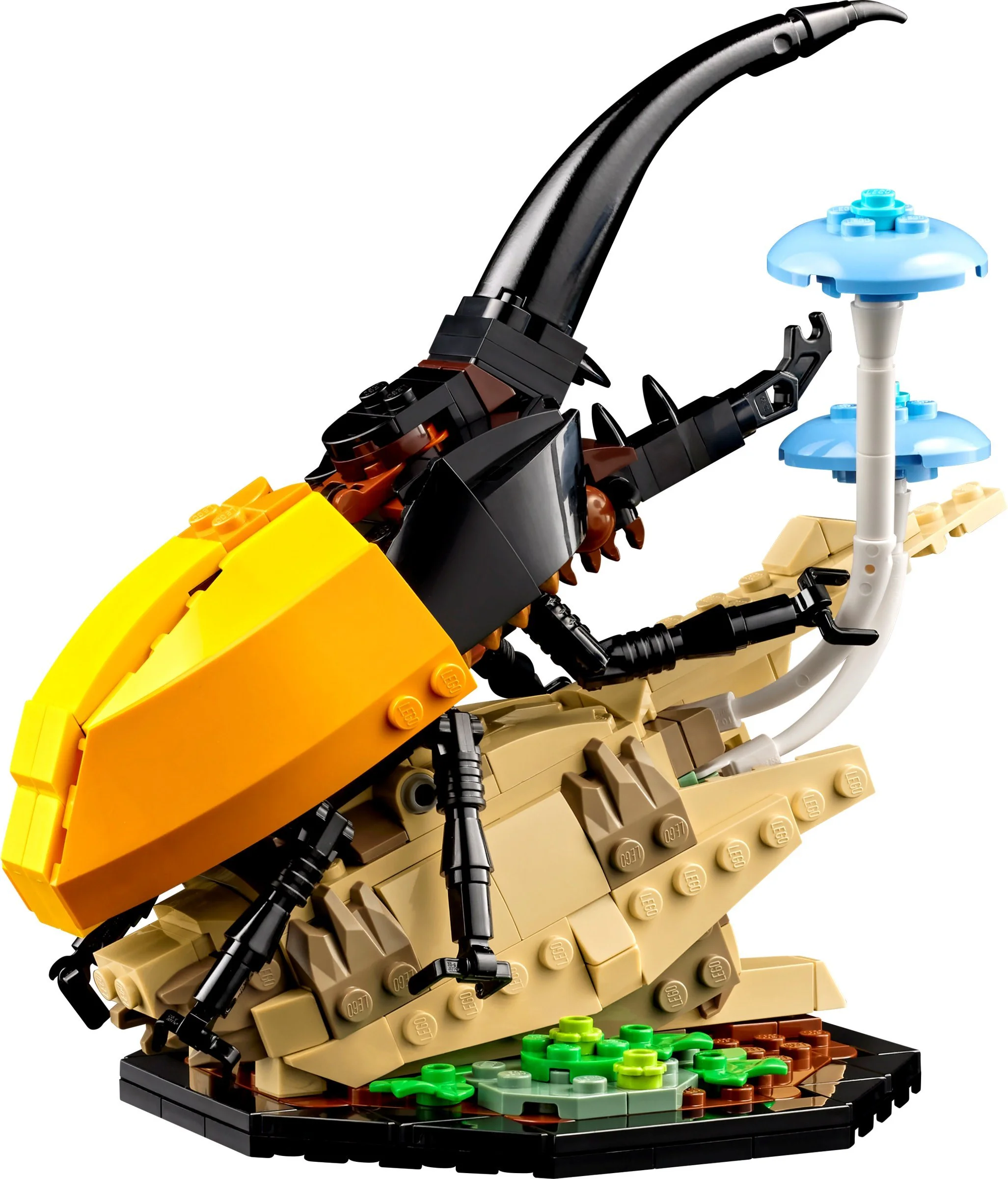 Insects 无牌 90142 image 6