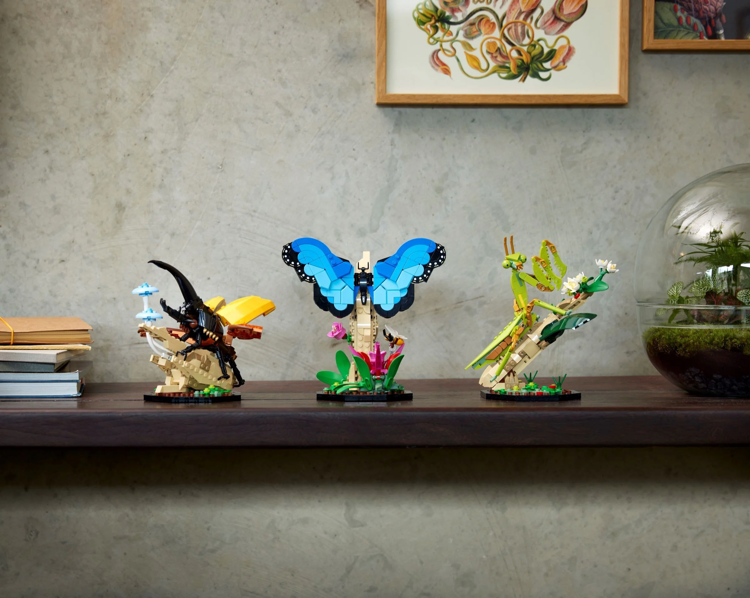 Insects 无牌 90142 image 8