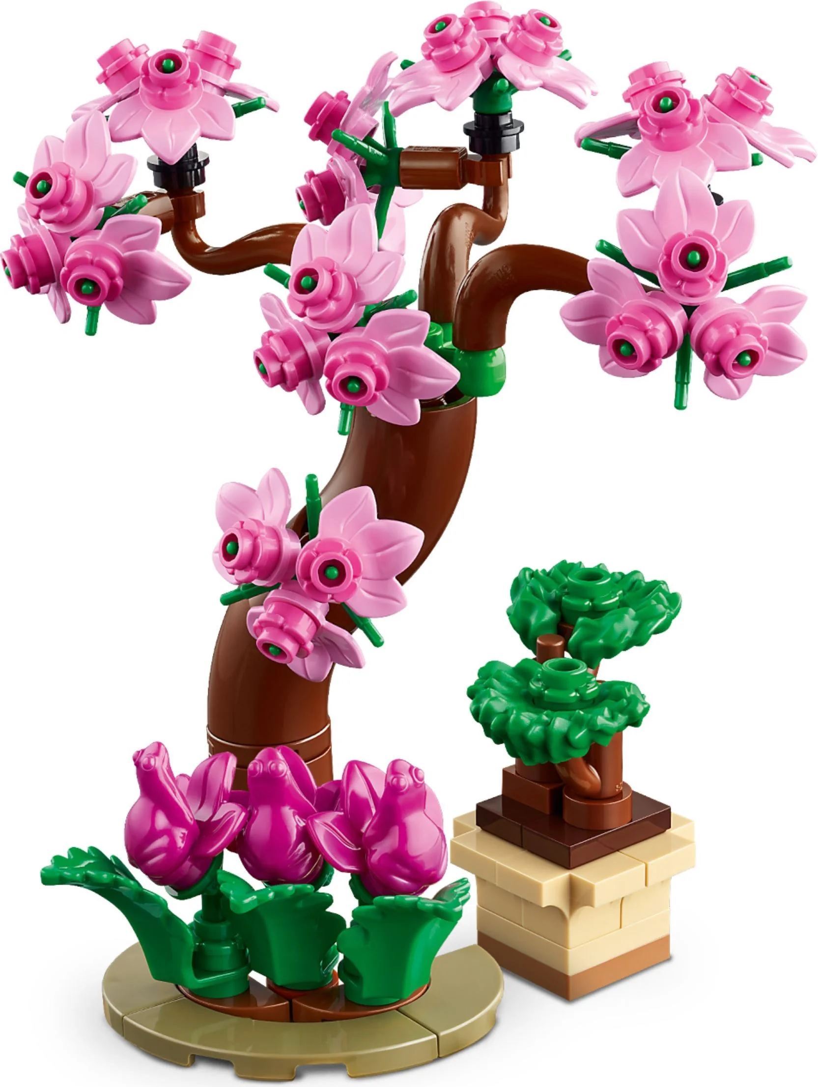 Wonder Botanical Garden 乐高 LEGO 41757 image 5