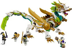 The dragon's little warrior