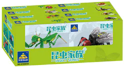 Insect family, 8. Mantis, flies, ants, bees, dragonflies, fireflies, ladybugs, snails