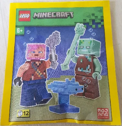 Adventurer with Drowned and Axolotl 乐高 LEGO 662303