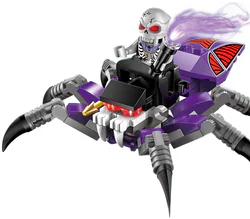 The legendary pirate: the poisonous spider