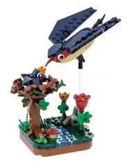 Birds: swallows