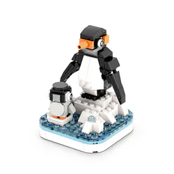 Birds: penguins