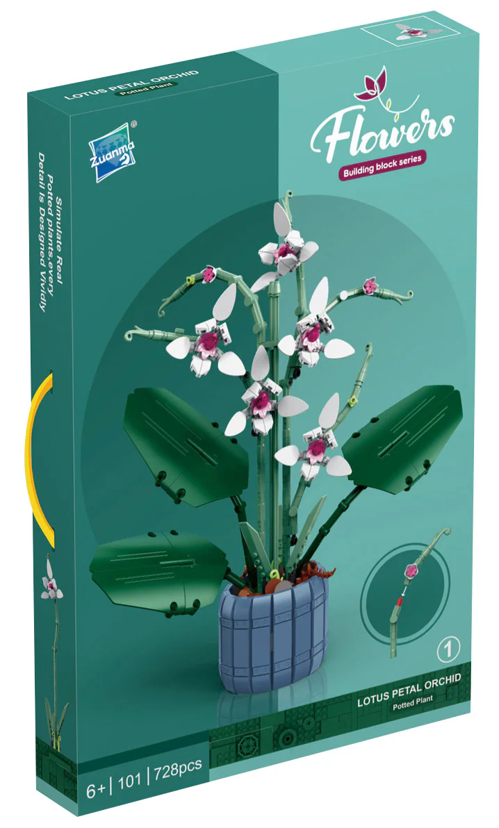Lotus orchid 钻马Zuanma 101-1
