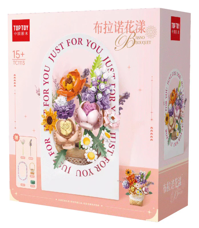 Blano TOP TOY TC1113
