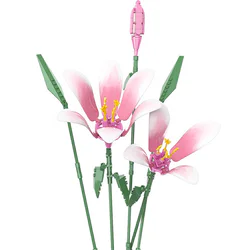 Plant log: lilies, sugar
