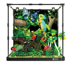 Climbing the landscape of tropical rainforests