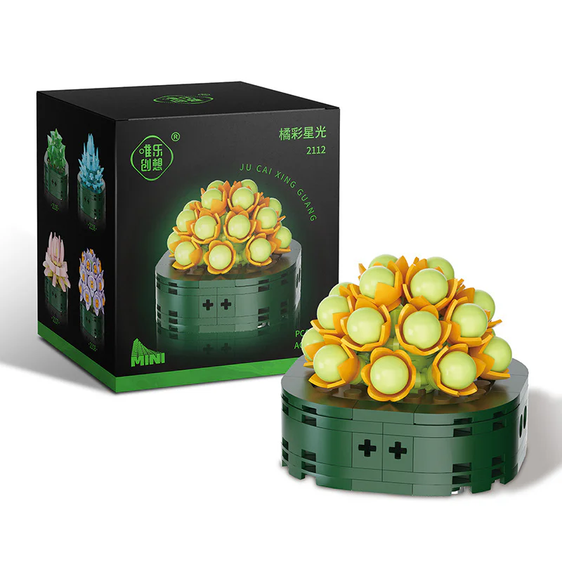 Modular multi-basin plant: Orange starlight 唯乐创想 2112