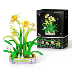 The daffodils