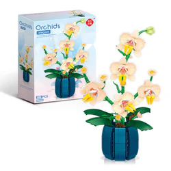 Tulipulan