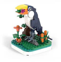 Birds:
