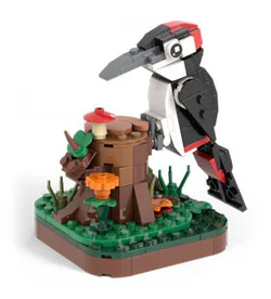 Birds: Woodpeckers