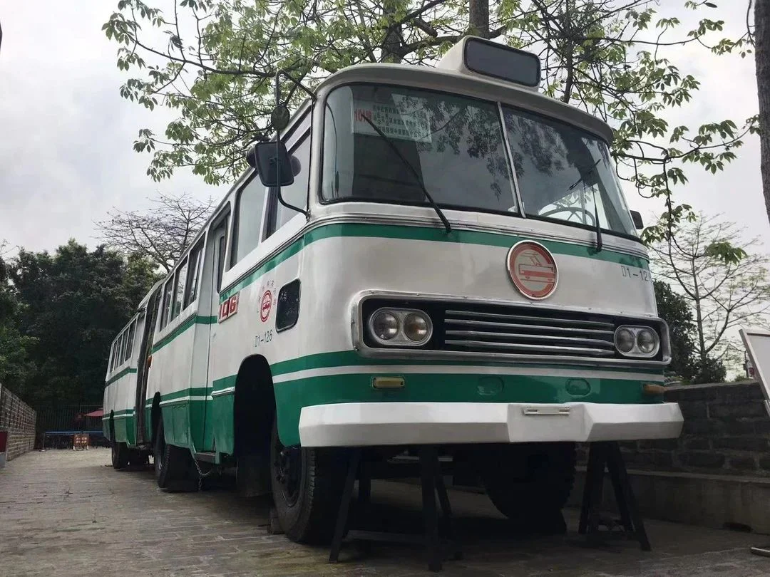 Guangzhou Shark Bus 羊城通 S09101-2206 image 5