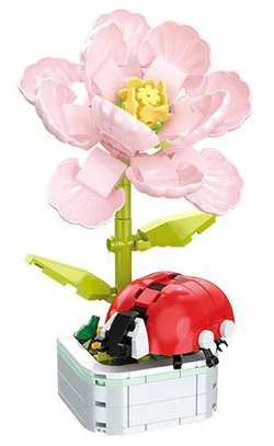 A ladybug plant