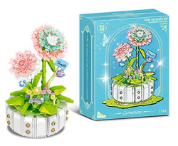 Carnation