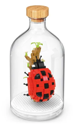 Seven-colored ladybugs